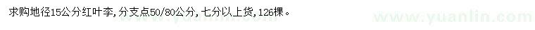 求購地徑15公分紅葉李