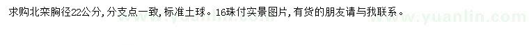 求購胸徑22公分北欒