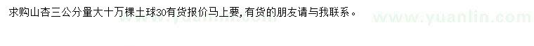 求購3公分山杏