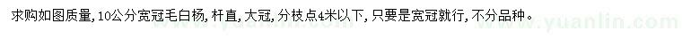求購(gòu)10公分寬冠毛白楊