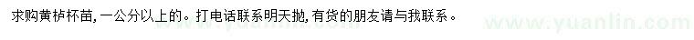 求購(gòu)1公分以上黃櫨