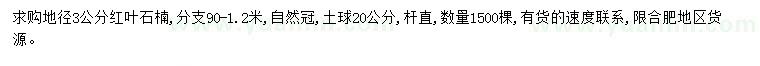 求購地徑3公分紅葉石楠