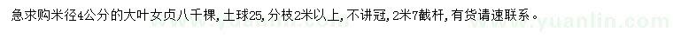 求購(gòu)米徑4公分大葉女貞