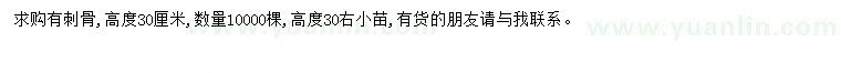 求購(gòu)高30公分有刺枸骨