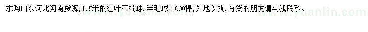 求購1.5米紅葉石楠球