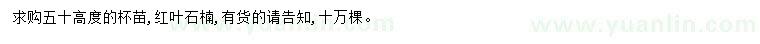 求購(gòu)高50公分紅葉石楠