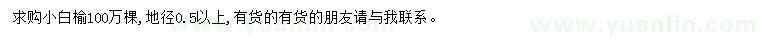求購地徑0.5公分以上白榆