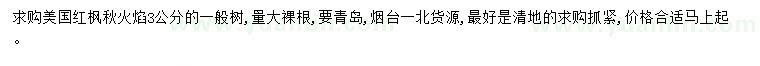 求購(gòu)3公分美國(guó)紅楓秋火焰