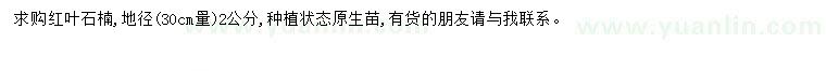 求購30量2公分紅葉石楠