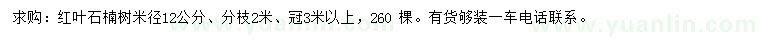 求購米徑12公分紅葉石楠