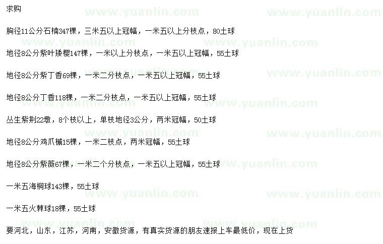 求購(gòu)石楠、紫葉矮櫻、紫丁香等