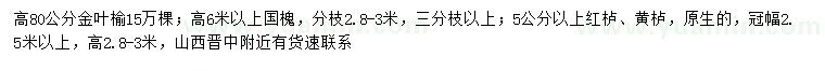 求購金葉榆、國槐、紅櫨等