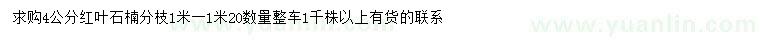 求購(gòu)4公分紅葉石楠