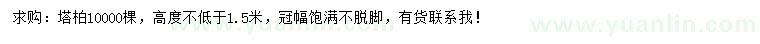 求購高不低于1.5米塔柏