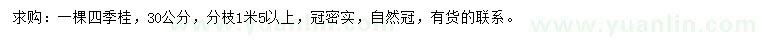 求購(gòu)30公分四季桂