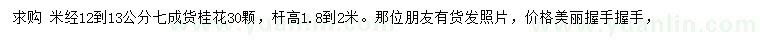 求購米徑12-13公分桂花