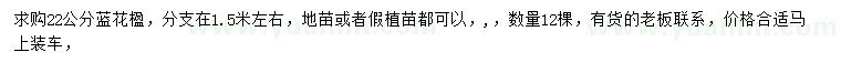 求購(gòu)22公分藍(lán)花楹