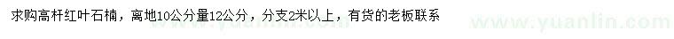 求購(gòu)紅葉石楠