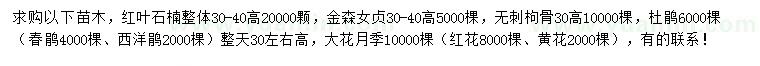 求購紅葉石楠、金森女貞、無刺枸骨