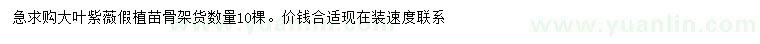 求購(gòu)大葉紫薇假植苗骨架貨