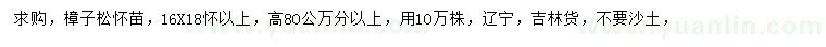 求購高80公分以上樟子松