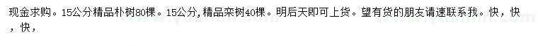 求購(gòu)15公分樸樹(shù)、欒樹(shù)