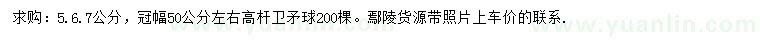 求購冠幅50公分高桿衛(wèi)矛球