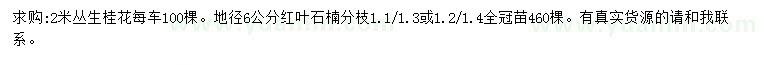 求購2米叢生桂花、地徑6公分紅葉石楠