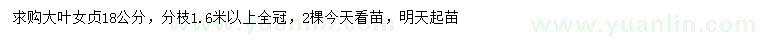 求購18公分大葉女貞