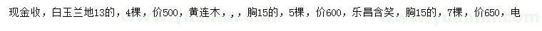 求購白玉蘭、黃連木、樂昌含笑