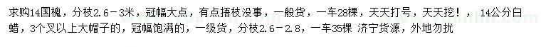 求購14公分國槐