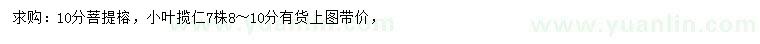 求購(gòu)10公分菩提榕、8-10公分小葉攬仁