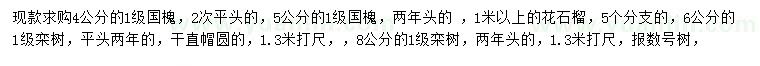 求購4公分國槐