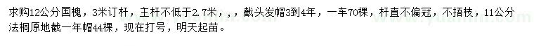求購(gòu)12公分國(guó)槐、11公分法桐