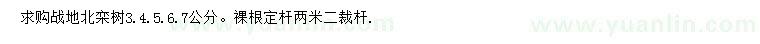 求購3-7公分欒樹