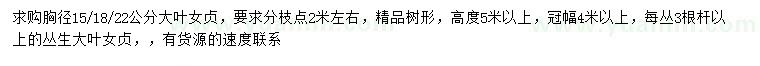 求購15-22公分大葉女貞
