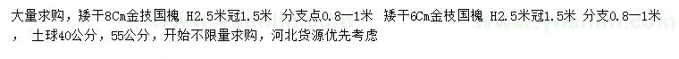 求購高2.5米國槐