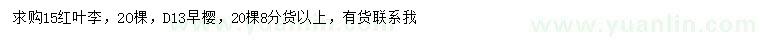 求購15公分紅葉李