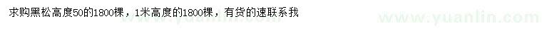 求購(gòu)高1米黑松