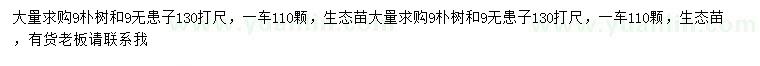 求購9公分樸樹