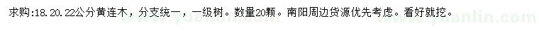 求購18、20、22公分黃連木