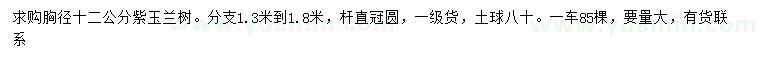 求購12公分紫玉蘭