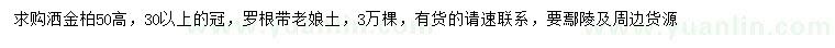 求購高50灑金柏