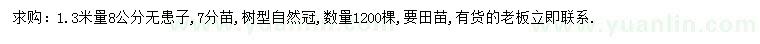 求購1.3米量8公分無患子