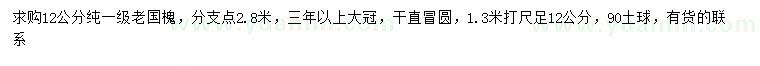 求購(gòu)1.3米打尺12公分老國(guó)槐