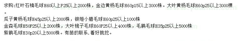 求購紅葉石楠球、金邊黃楊球、大葉黃楊球等