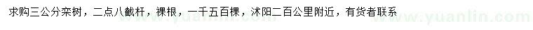求購(gòu)3公分欒樹(shù)