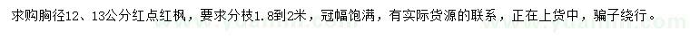 求購胸徑12、13公分紅點(diǎn)紅楓