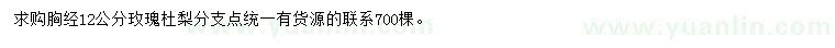 求購胸徑12公分玫瑰杜梨