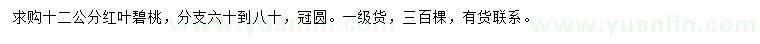 求購12公分紅葉碧桃